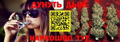 не бодяженный Ставрополь