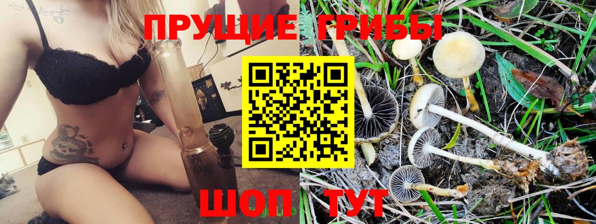 Псилоцибиновые грибы мухоморы  Вход с VPN  Североморск 
